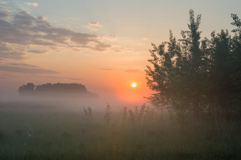 Прикрепленное изображение: DSC_0002.jpg