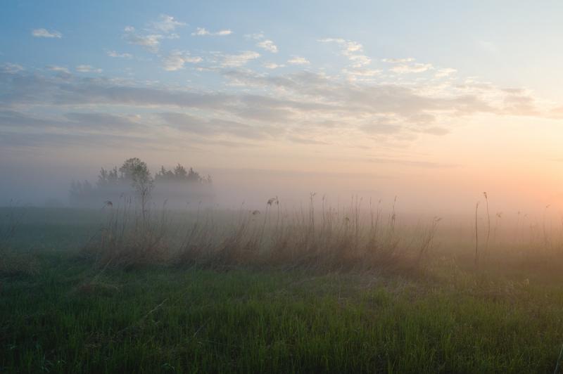 Прикрепленное изображение: DSC_0018.jpg