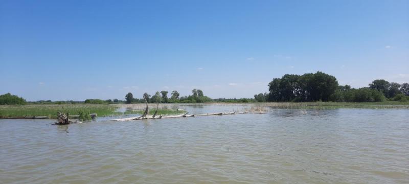 20230612_133000.jpg