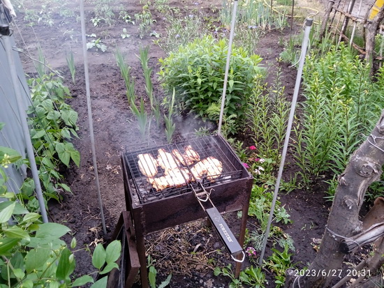 IMG_20230627_203150_1.jpg