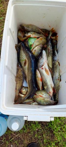 IMG_20240618_102125_569.jpg