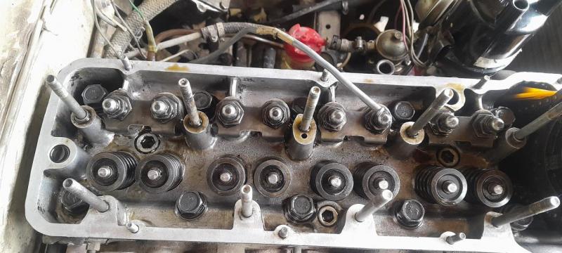 20250627_141231.jpg