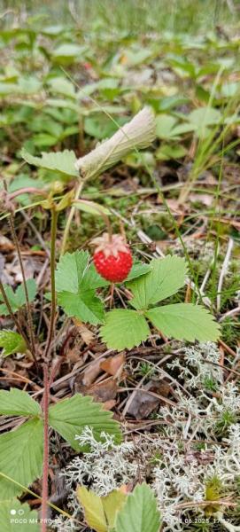 IMG_20250628_171740~2.jpg