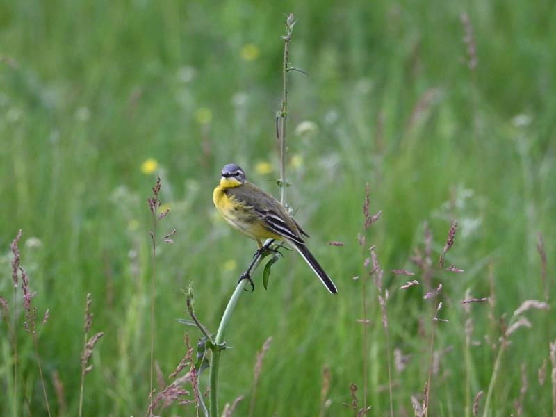DSC_3276.JPG