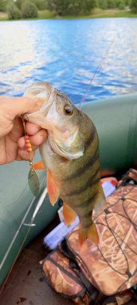 IMG_20250628_185107_345.jpg