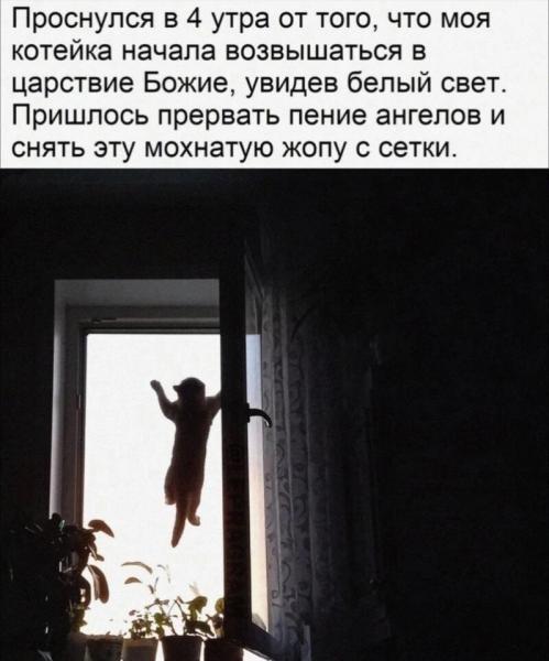 image (26).jpg