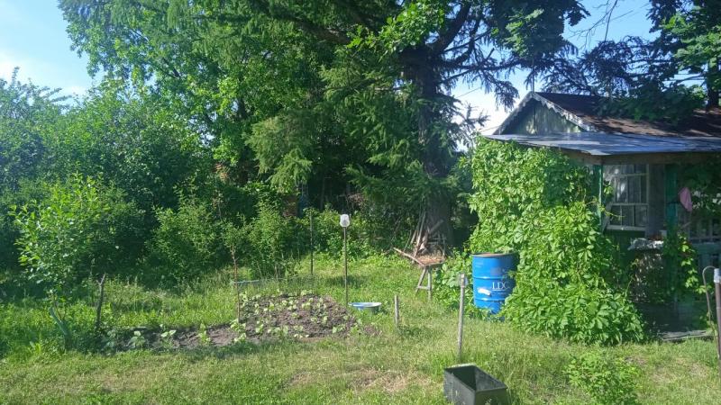 IMG-20250604-WA0177.jpeg