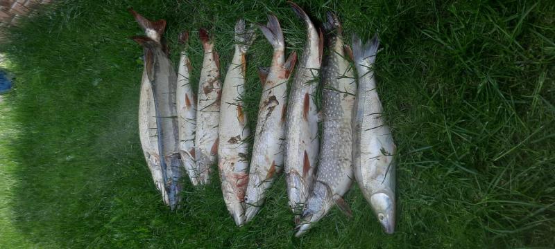 20250608_125139.jpg