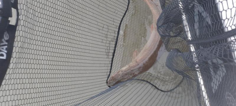 20250608_054314.jpg