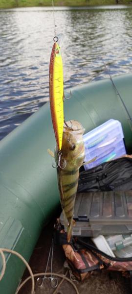 IMG_20250617_145257_710.jpg