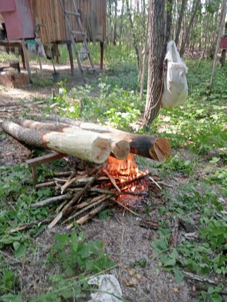 IMG20260613171159.jpg
