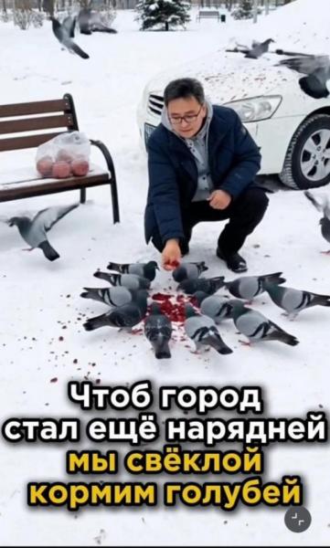 голуби 2.jpg