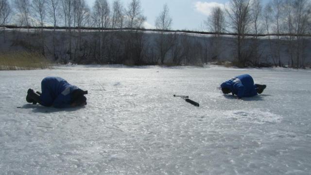 Прикрепленное изображение
