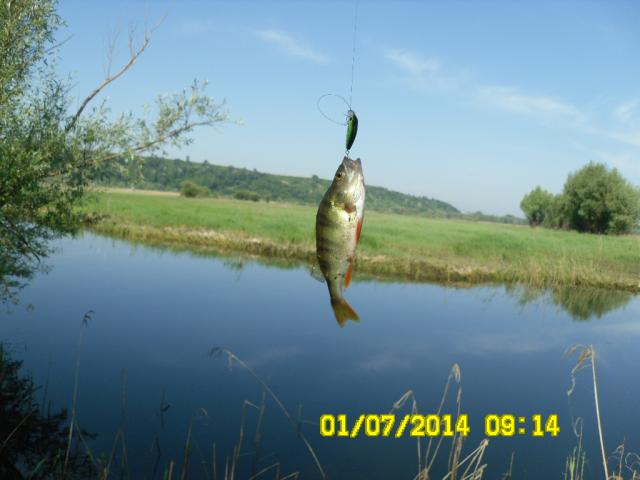 Прикрепленное изображение