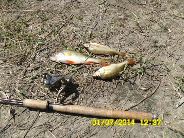 Прикрепленное изображение