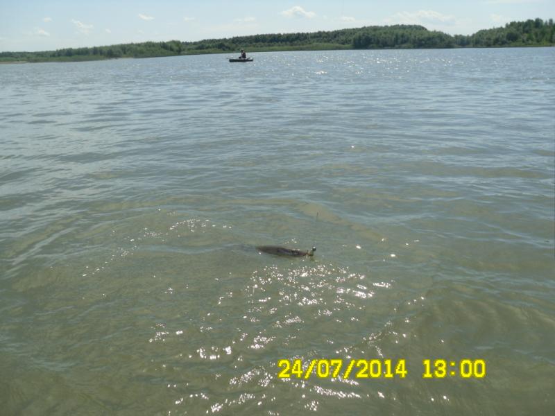 Прикрепленное изображение