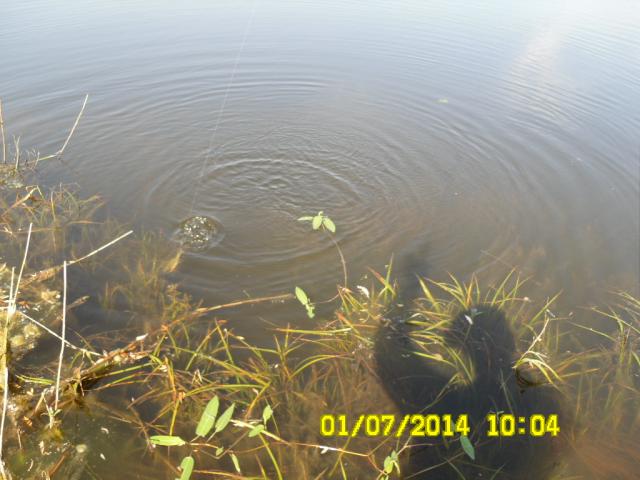 Прикрепленное изображение