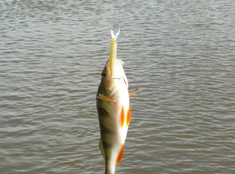 Прикрепленное изображение: 7.JPG