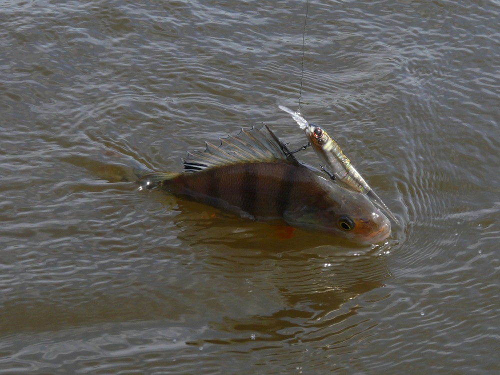 Прикрепленное изображение: 12.JPG