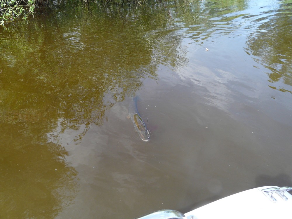 Прикрепленное изображение: 9.JPG