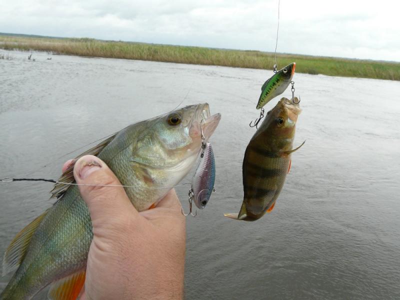 Прикрепленное изображение