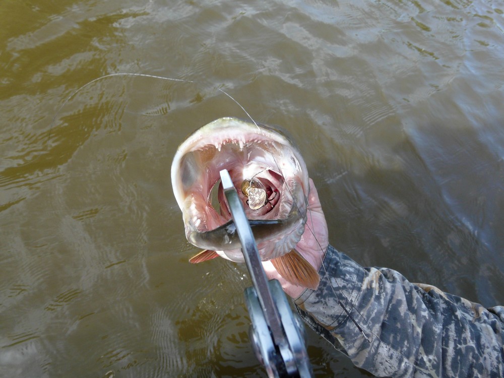 Прикрепленное изображение: 11.JPG