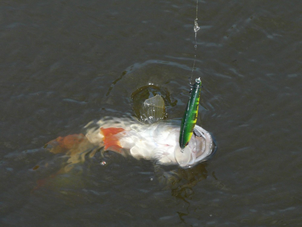 Прикрепленное изображение: 3.JPG