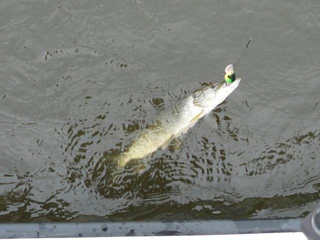 Прикрепленное изображение