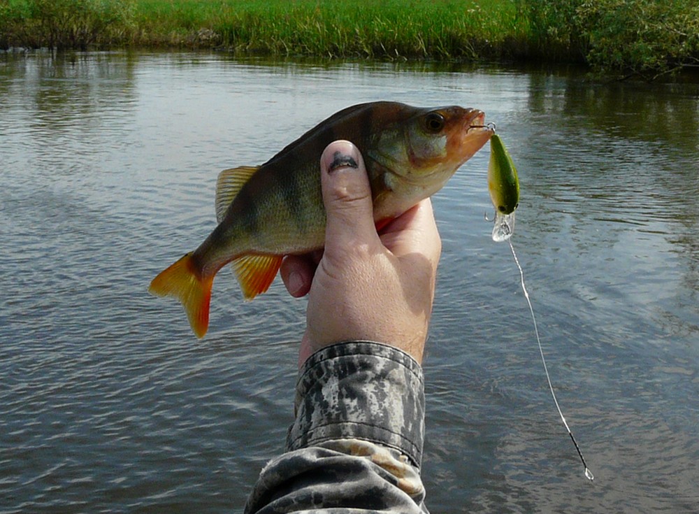 Прикрепленное изображение: 6.JPG