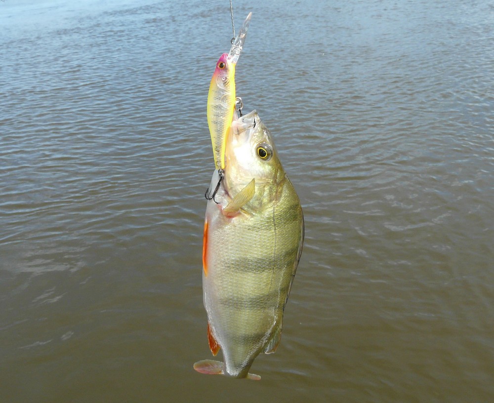 Прикрепленное изображение: 15.JPG