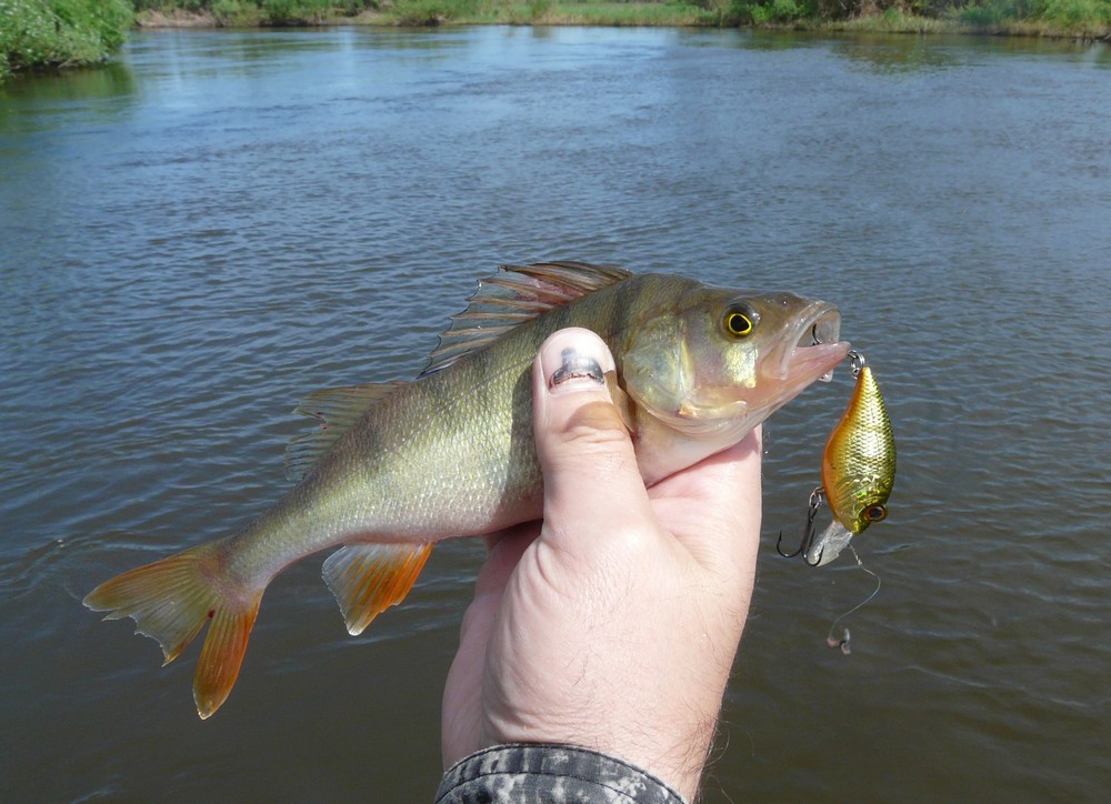 Прикрепленное изображение: 13.JPG