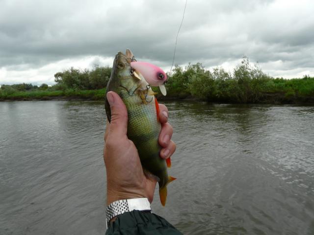 Прикрепленное изображение