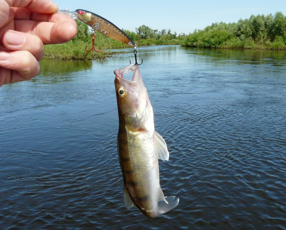 Прикрепленное изображение: 5.JPG