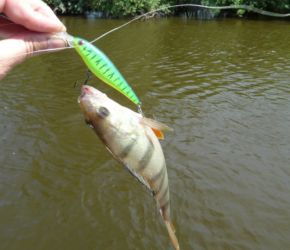 Прикрепленное изображение: 17.JPG