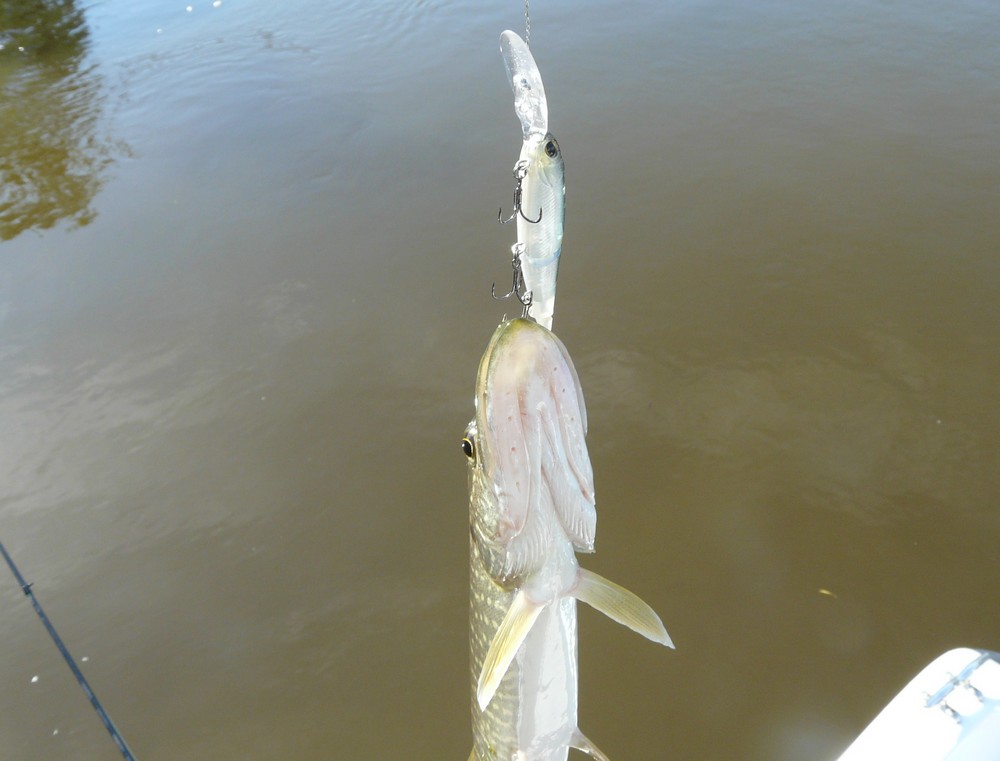 Прикрепленное изображение: 14.JPG