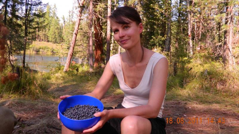 Прикрепленное изображение