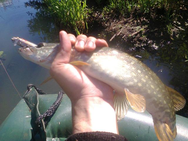 Прикрепленное изображение