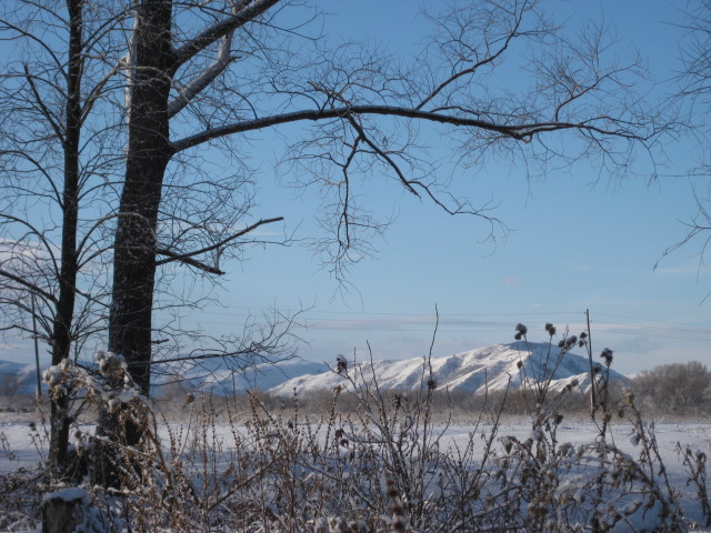 Прикрепленное изображение