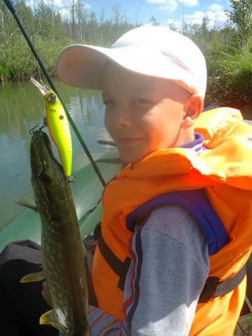 Прикрепленное изображение