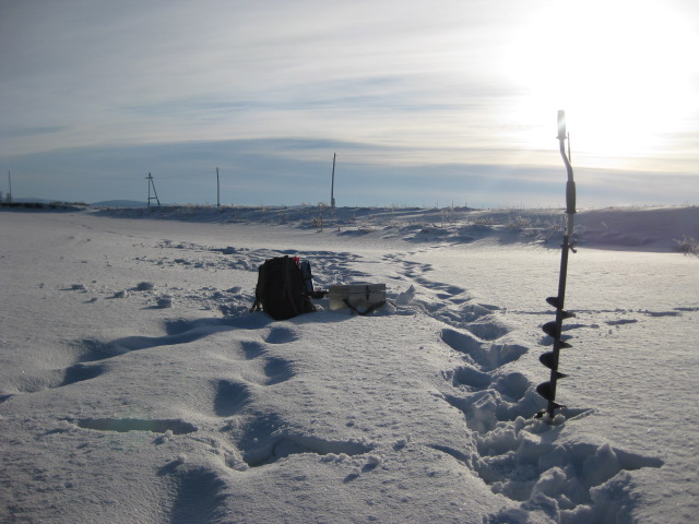Прикрепленное изображение