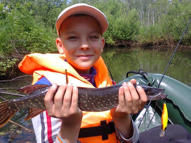 Прикрепленное изображение