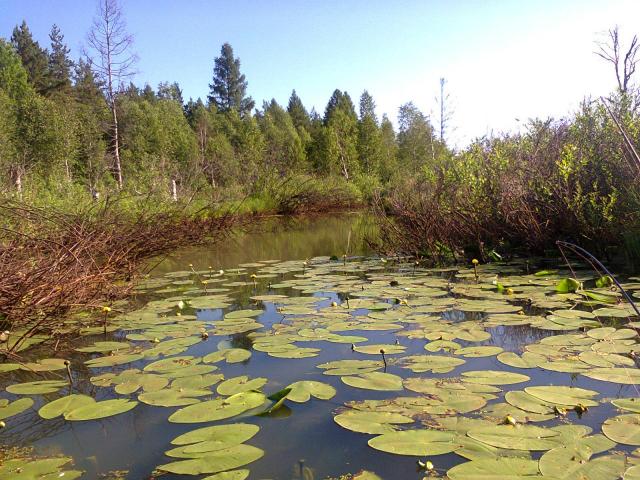 Прикрепленное изображение