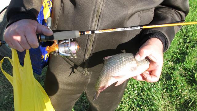 Прикрепленное изображение