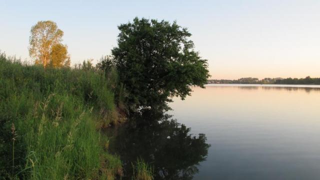 Прикрепленное изображение