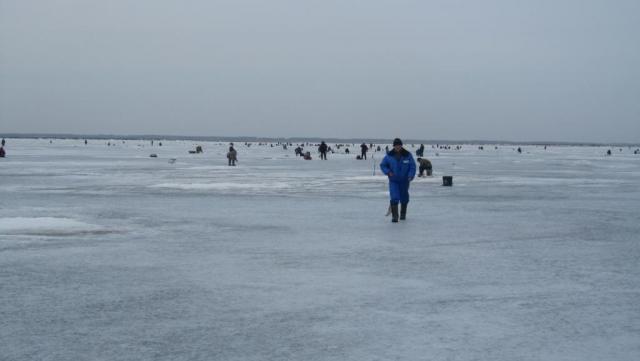 Прикрепленное изображение