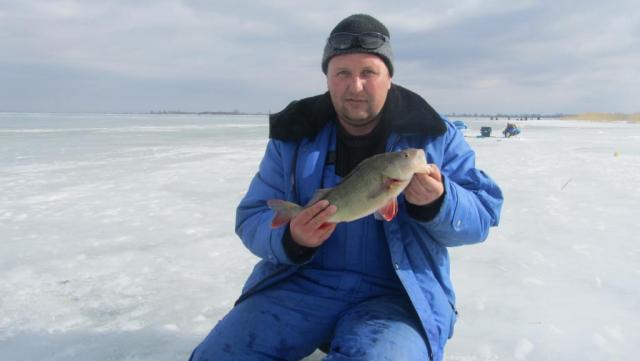 Прикрепленное изображение