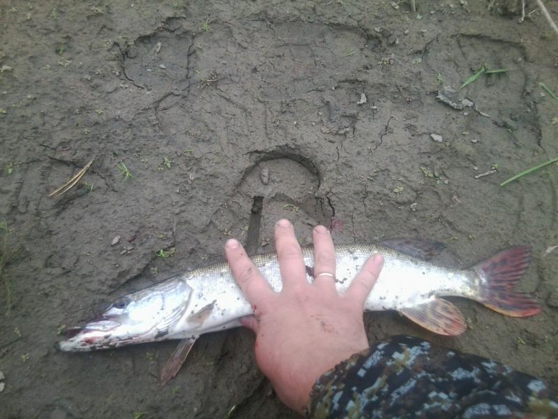 Прикрепленное изображение