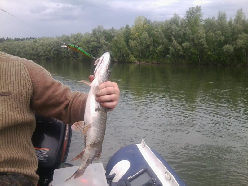 Прикрепленное изображение