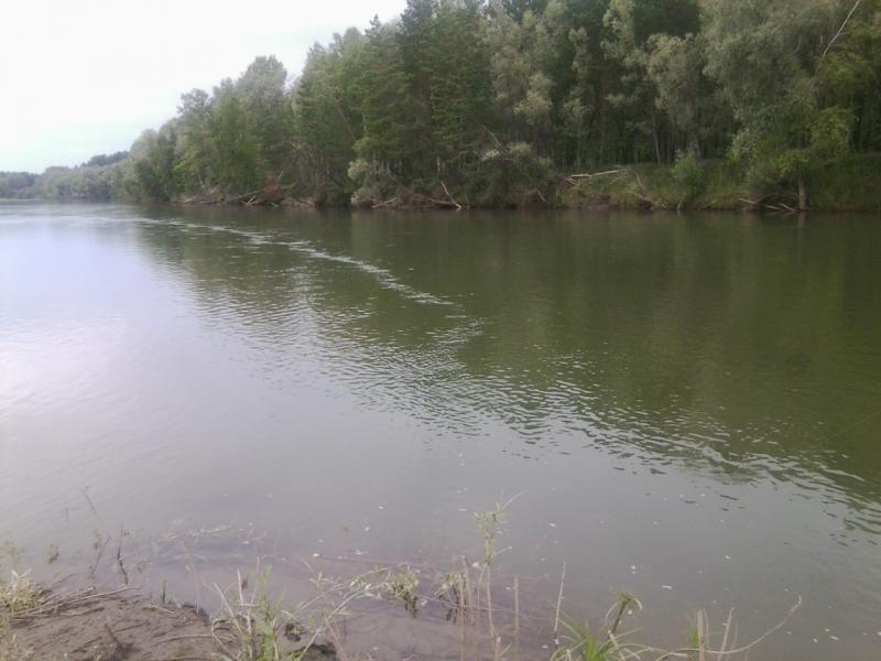 Прикрепленное изображение