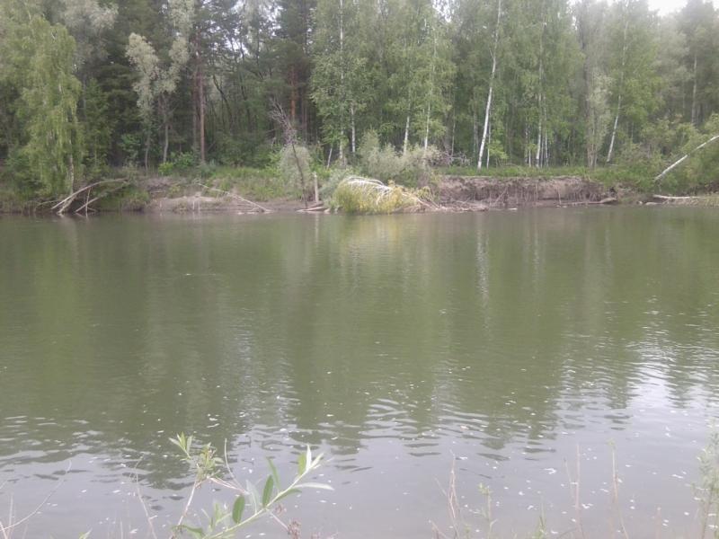 Прикрепленное изображение